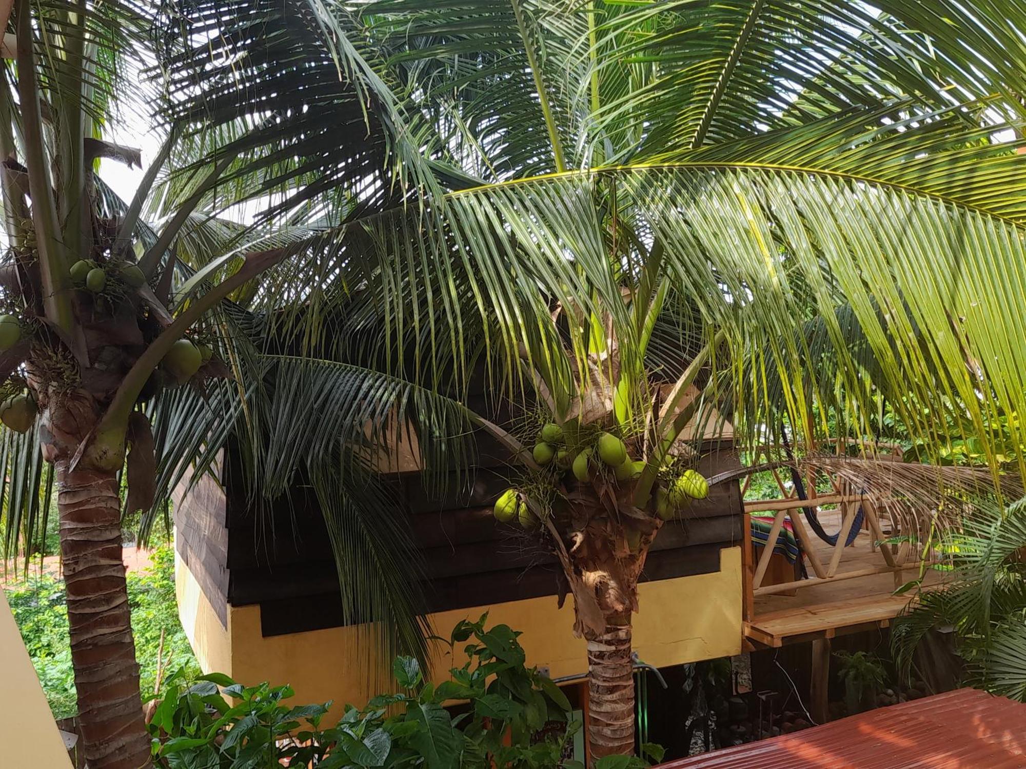 Casa Gio Villa Puerto Escondido  Bagian luar foto