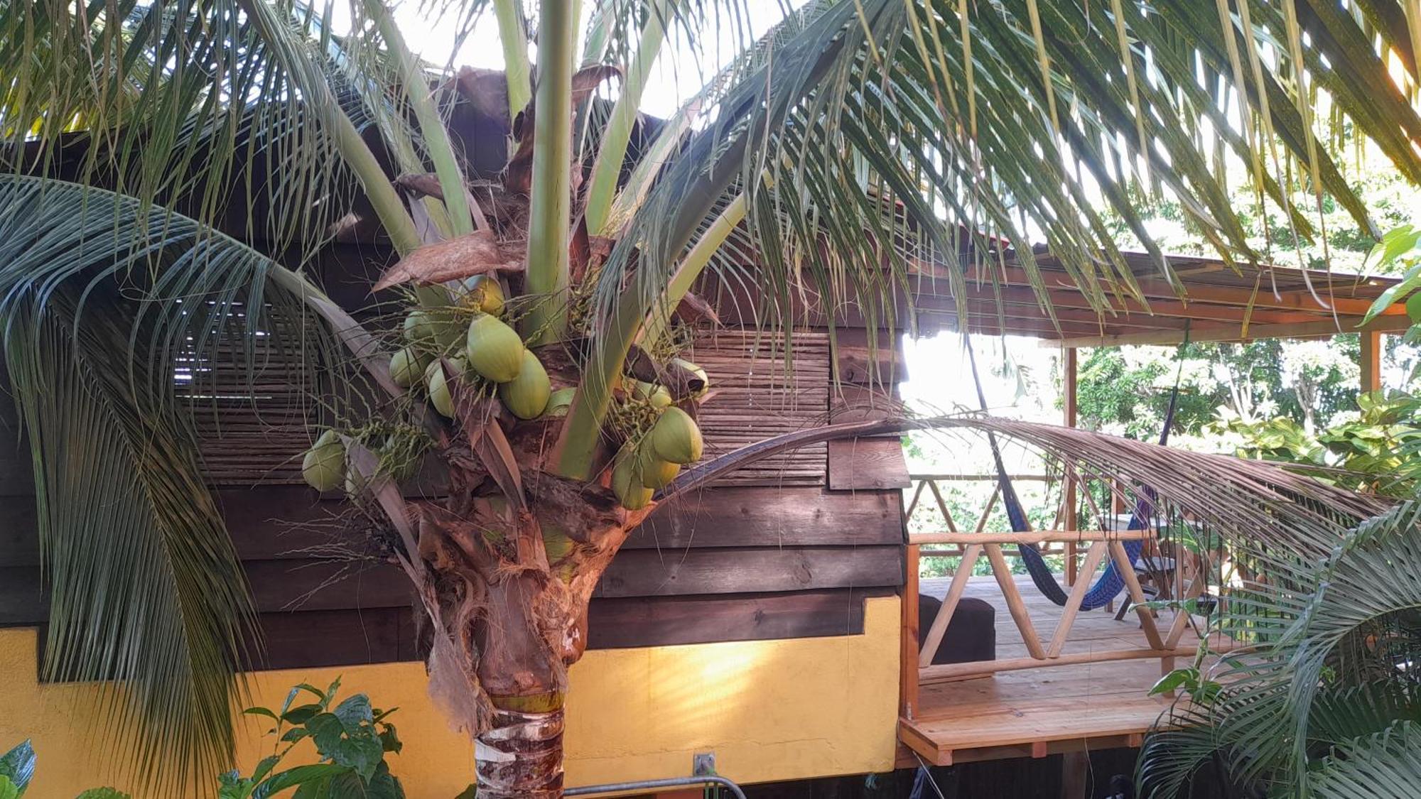Casa Gio Villa Puerto Escondido  Ruang foto